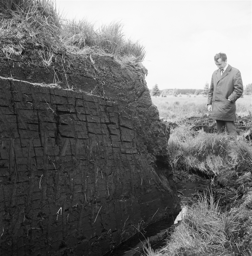 High Fens, around 1965: peat cutting (private archive Martin Schröder, CC BY-NC-ND 4.0)