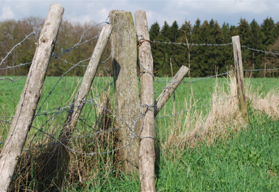 2017-07_VADS_Stacheldraht_Bild