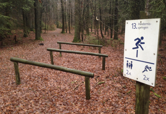 2018-03_VAS_Trimm_dich_Bild