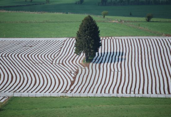 2018-06_VAS_Ackerfolie