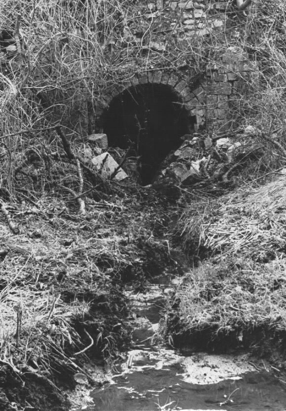 Kelmis o.D. Lindengraben KEA SAE Bildarchiv Göhltal_PB