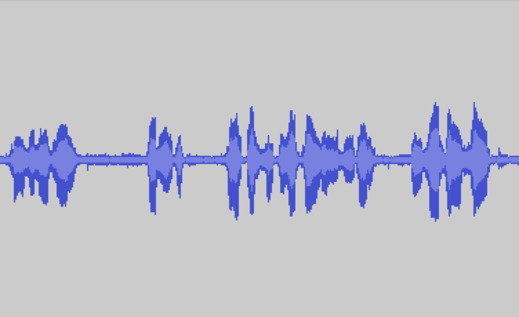 Stimme_Grenzschmuggel