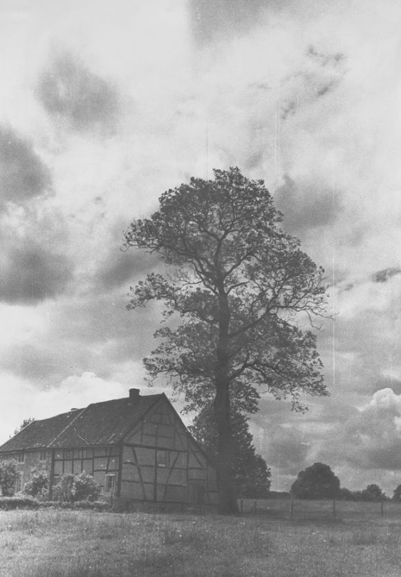 WALHORN,-O.D.-DER-'LATENBAU',-EIN-ALTER-BAUERNHOF-crop